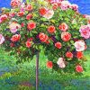 Rose Tree Illustration paint by number