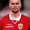 Roy Keane Player paint by number