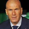 Zinedine Zidane paint by number