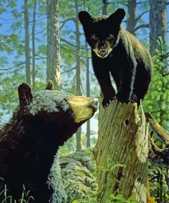 Aesthetic Black Bear With Cub paint by number