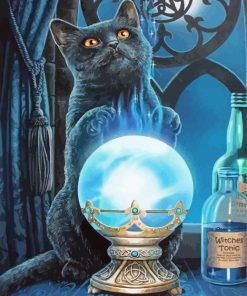 Aesthetic Black Cat With Crystal Ball paint by number