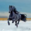 Aesthetic Black Horse paint by number