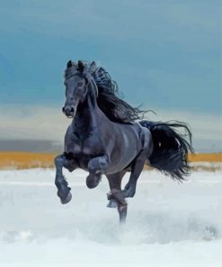 Aesthetic Black Horse paint by number