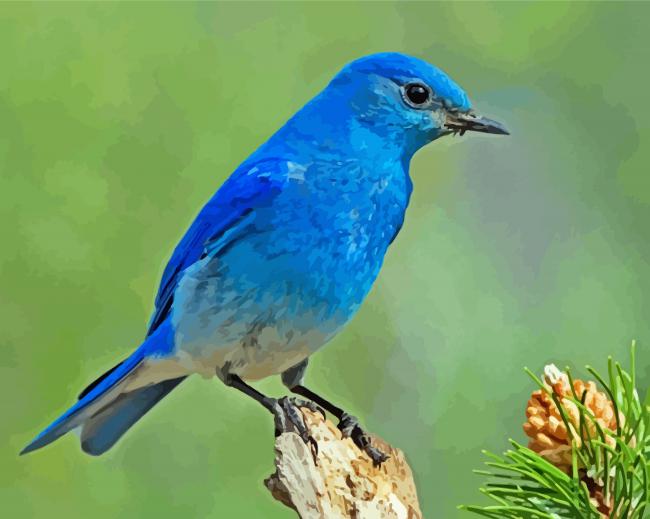 Aesthetic Mountain Bluebird Art paint by number