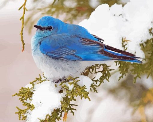 Aesthetic Mountain Bluebird paint by number