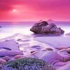 Aesthetic Pink Scenery paint by number
