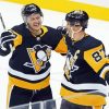 Aesthetic Pittsburgh Penguins paint by number