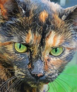 Aesthetic Tortoise Shell Cat paint by number