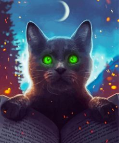 Aesthetic Black Magical Cat paint by number