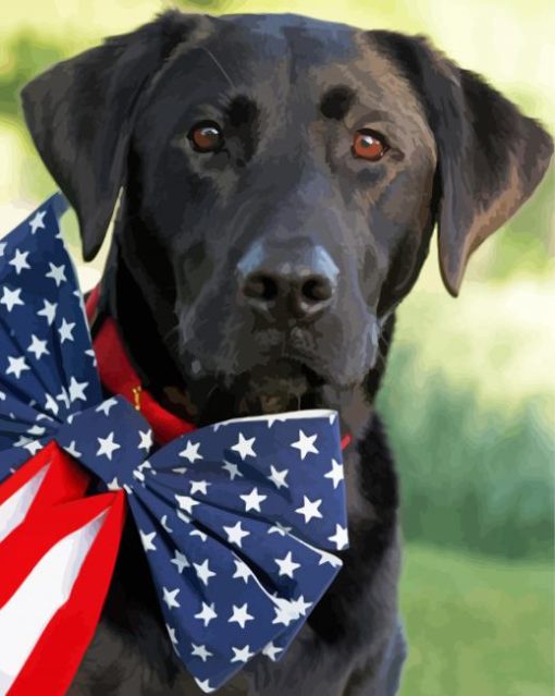 Aesthetic Black Lab With Flag paint by number