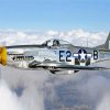 Aesthetic Warbirds paint by number