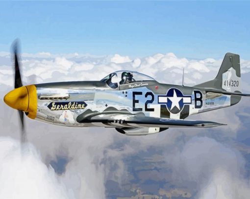 Aesthetic Warbirds paint by number