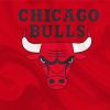 Basketball Logo Bulls paint by number
