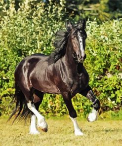 Black English Plow Horse paint by number