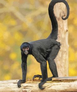 Black Spider Monkey Tail Paint by number