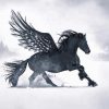 Black Zinged Horse In Snow paint by number