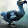 Blue Dodo paint by number