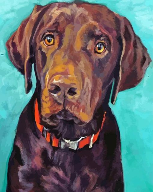 Brown English Labrador Dog paint by number