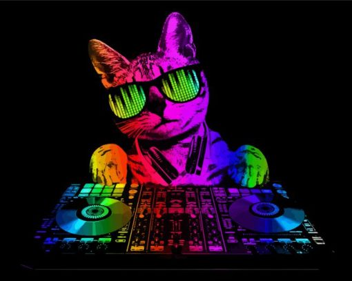 Colorful Cat Dj paint by number