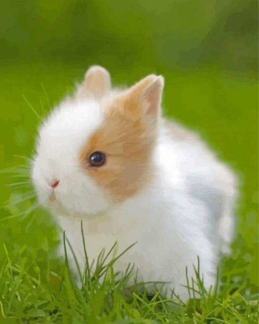 Cute Baby Rabbit Paint by number