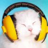 Cute Cat Wearing Headphones paint by number