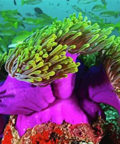 Green Sea Anemone paint by number
