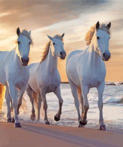 Horse Beach Illustration paint by number