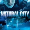 Natural City Poster paint by number