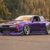 Purple Silvia paint by number