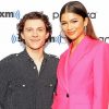 Tom Holland And Zendaya paint by number