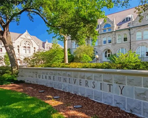 Tulane University paint by number