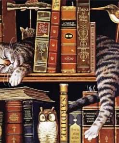 Vintage Cat With Books paint by number
