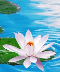 White Flower On Water paint by number