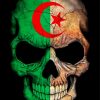 Algerian Skull paint by number