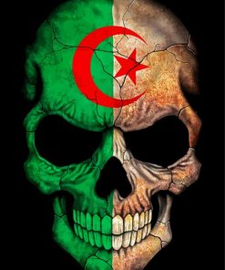 Algerian Skull paint by number