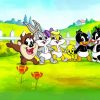Baby Looney Tunes Characters paint by number