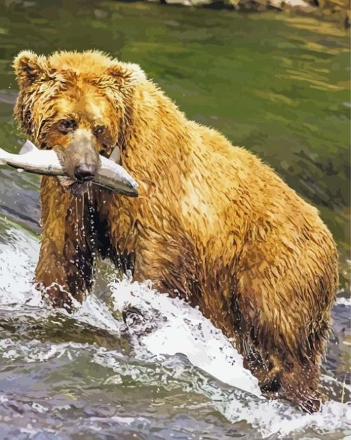 California Grizzly Bear paint by number