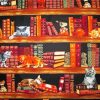 Cats And Books paint by number