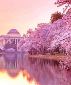 Cherry Blossoms Washington DC paint by number