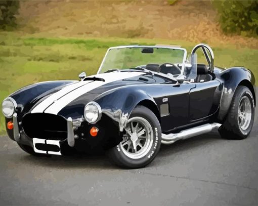 Classic Ford Shelby Cobra paint by number