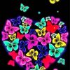 Colorful Butterfly Heart Paint by number