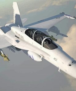 FA 18 Aircraft paint by number