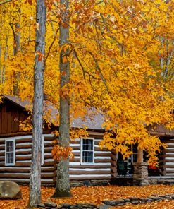 Fall Cabin Landscape paint by number