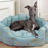 Grey Whippet Lurcher paint by number