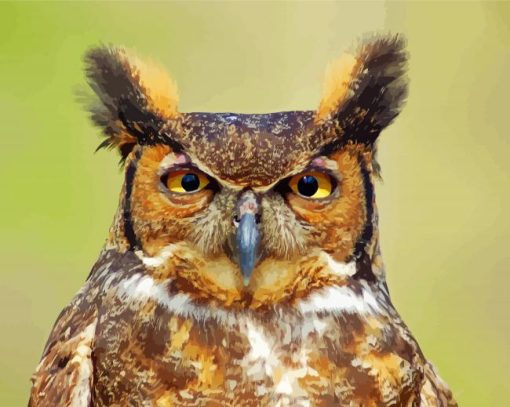 Horned Owl Bird paint by number