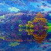 Korea Landscape Nature Reflection Paint by number