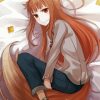 Manga Anime Spice And Wolf paint by number