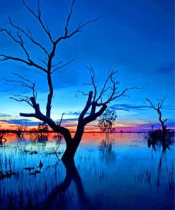 Menindee Dead Tree Reflection paint by number