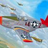 Military Red Tails Plane paint by number