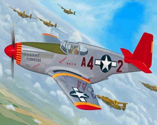 Military Red Tails Plane paint by number